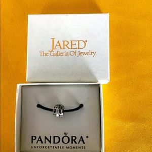 Pandora charm